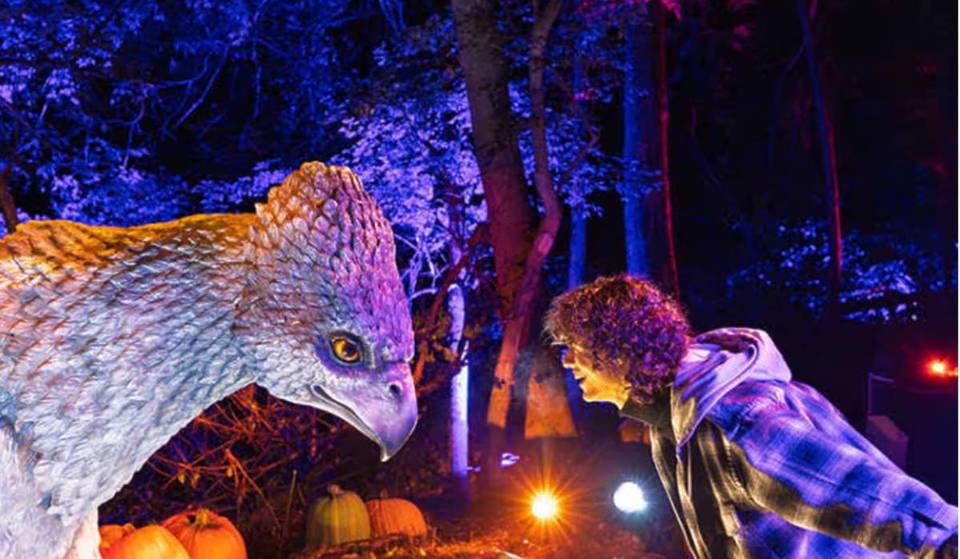Harry Potter™: “La Experiencia del Bosque Prohibido” ¡Ya abrió sus puertas en Santiago con un recorrido nocturno desde abril en la Quinta Normal!