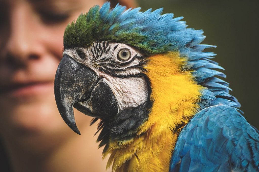 zoológico sp
