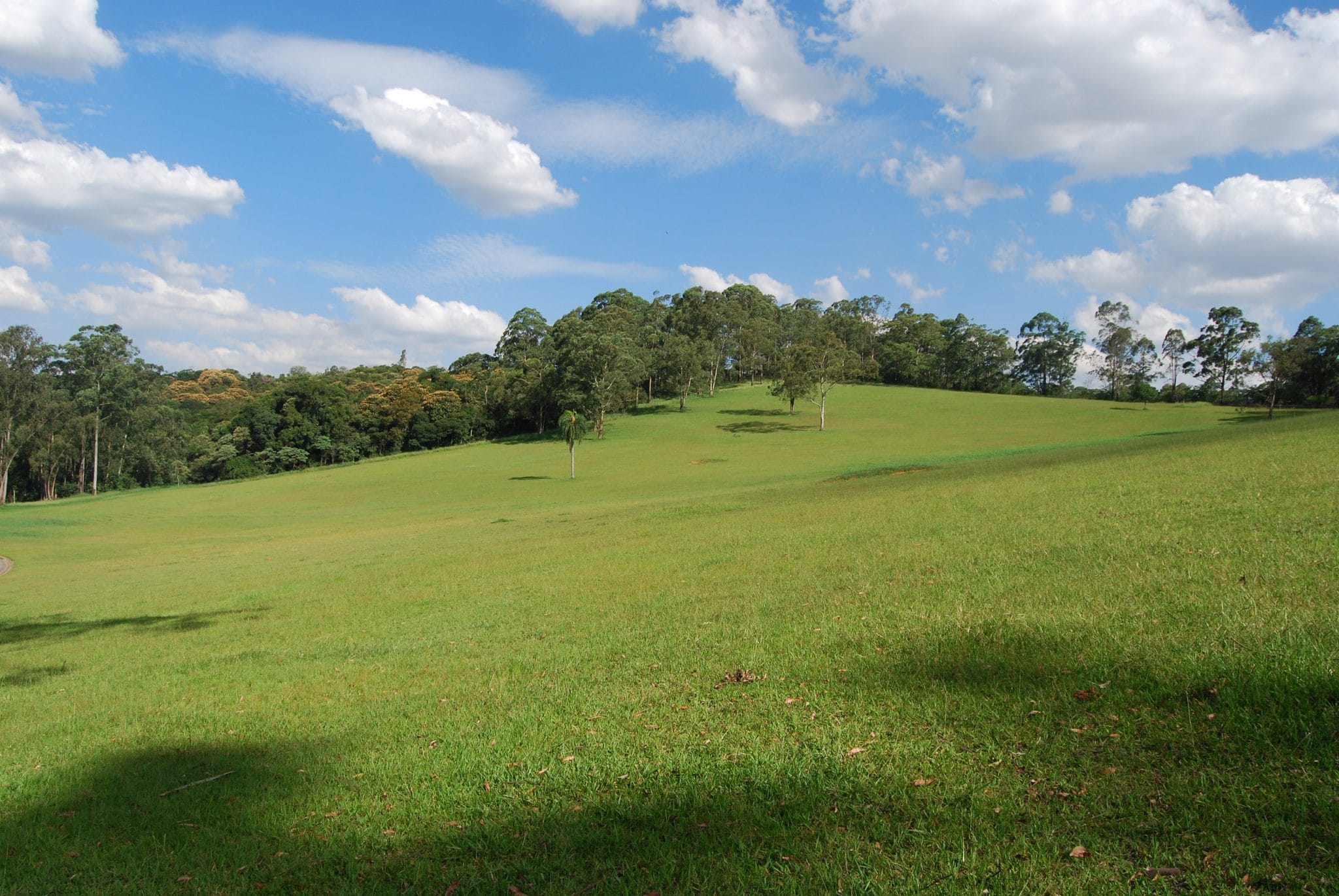 reopened parks in São Paulo