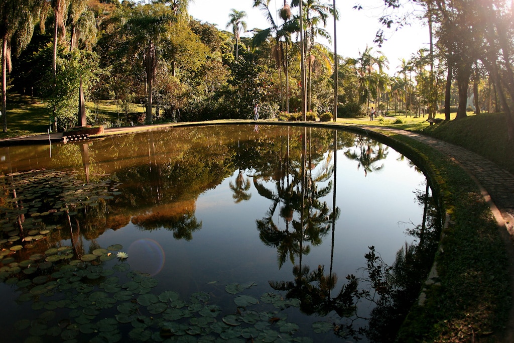 Turistar na cidade conheça o Jardim Botânico de São Paulo São Paulo Secreto Turistar na cidade conheça o Jardim Botânico de São Paulo São Paulo Secreto