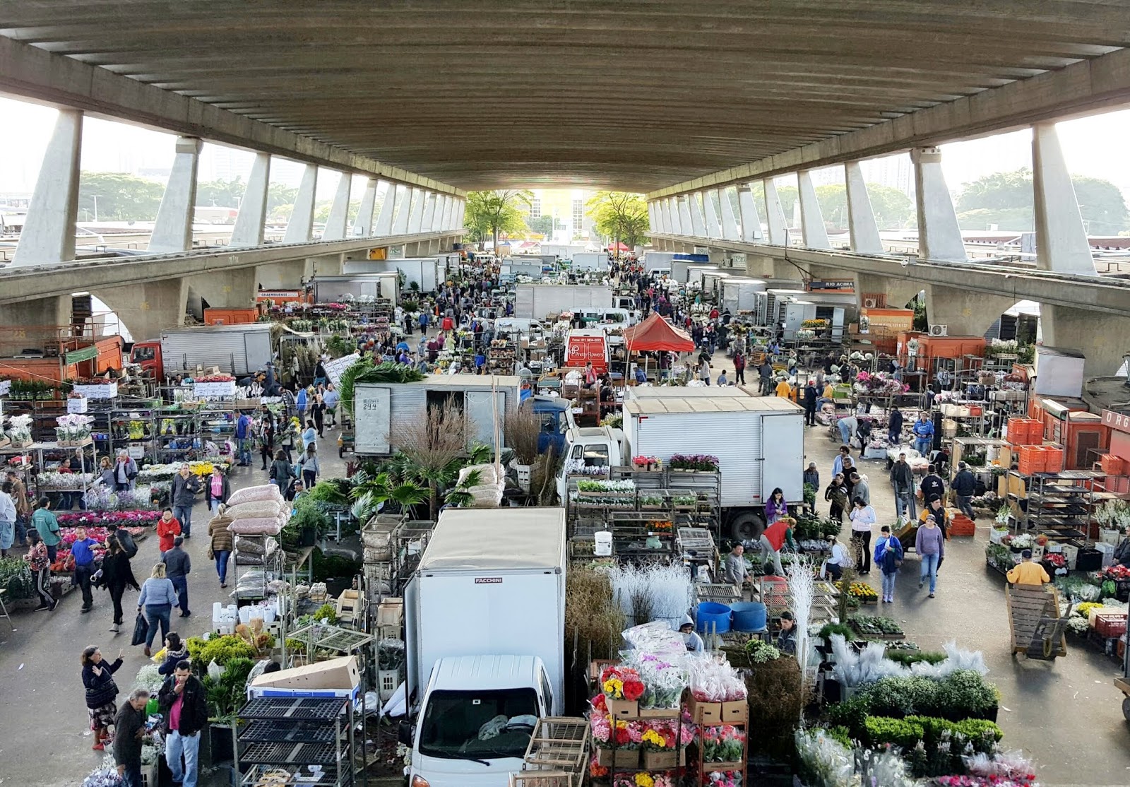 feira de flores ceagesp