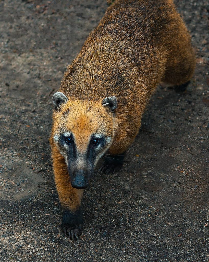 Parque Ecológico do Tietê