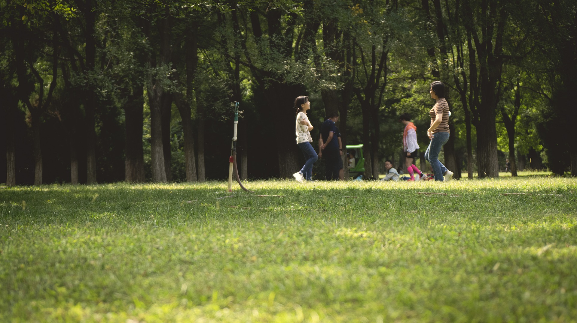 сюжетные картинки. искусственная модель сообщества парк нарисованная. Describe the picture природа. There were people in the park. люди в парке.