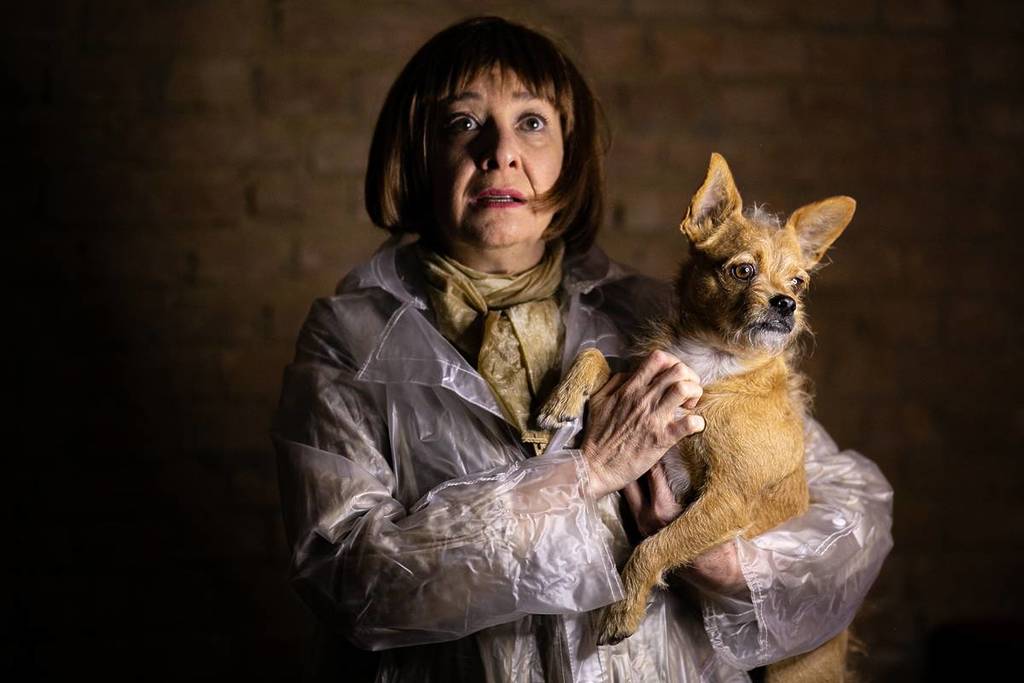 dos prazeres peça de teatro em junho em sp