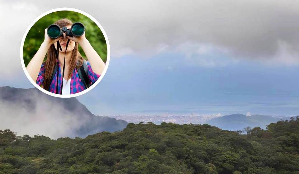 São Paulo&#8217;s only neighborhood overlooking the sea &#8211; a natural refuge with jaguars and 270 species of mammals