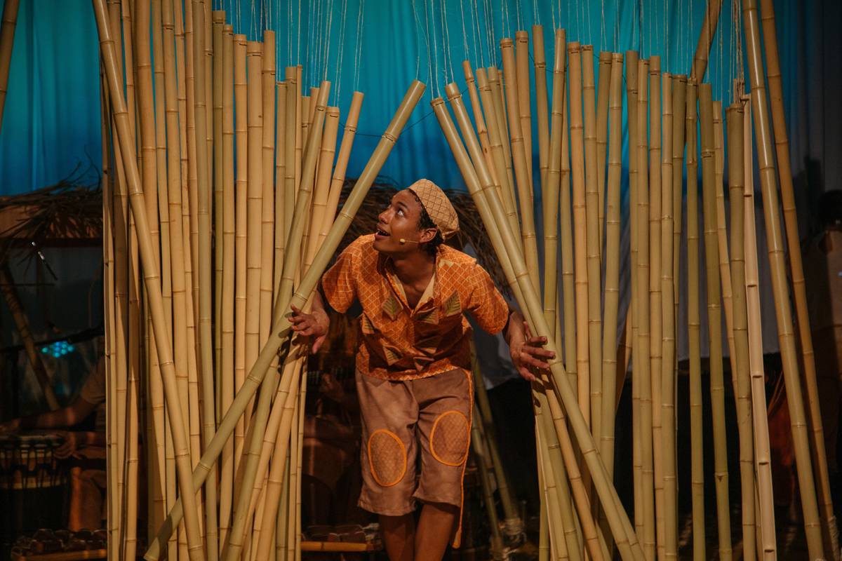 A Ventania que Levou a Minha Casa peças infantis em cartaz em sp