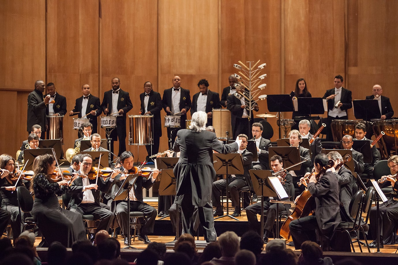 maestro joão carlos martins orquestra bachiana concerto gratuito