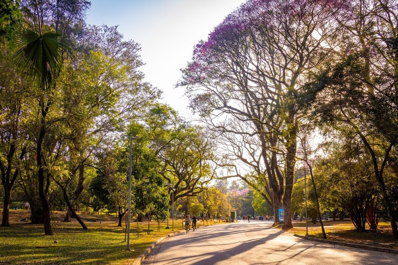 ibirapuera