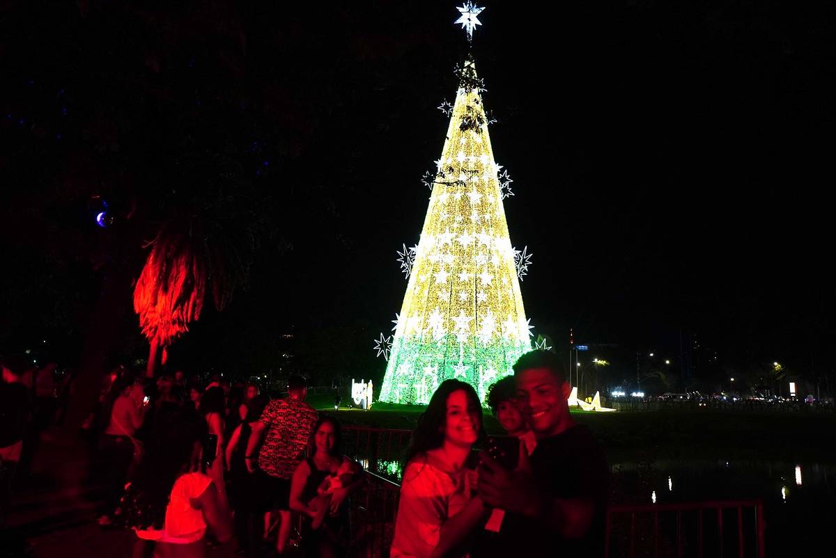 Árvores de Natal em SP