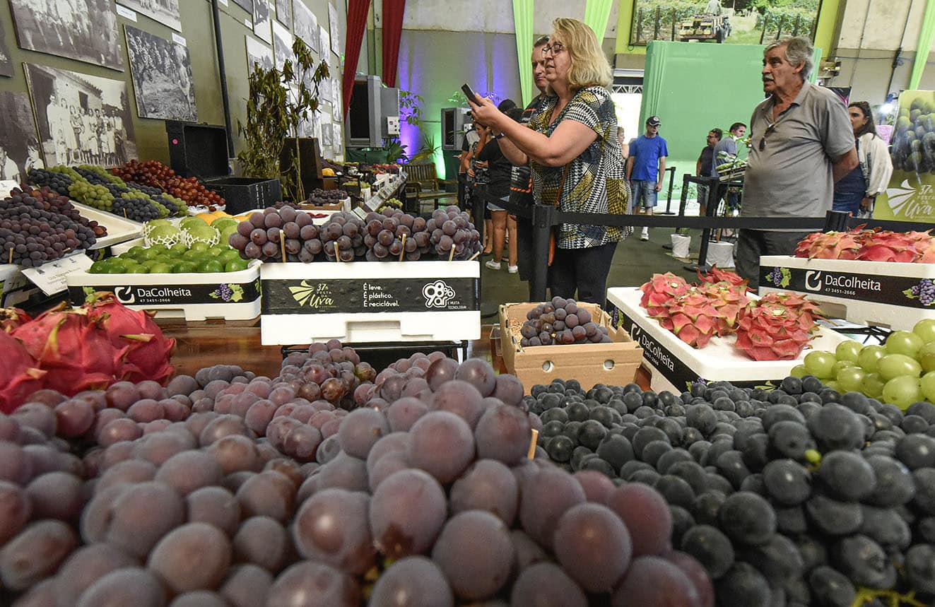 festa da uva de jundiaí