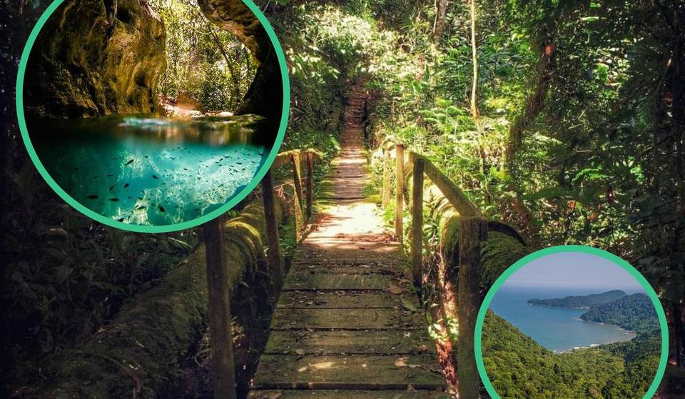 Serra da Cantareira, Jaraguá y más parques cerca de São Paulo para explorar ahora – senderos, cuevas y cascadas