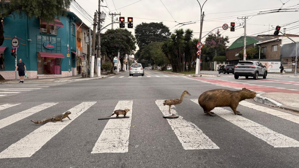 existe bicho em sp exposição em cartaz em são paulo