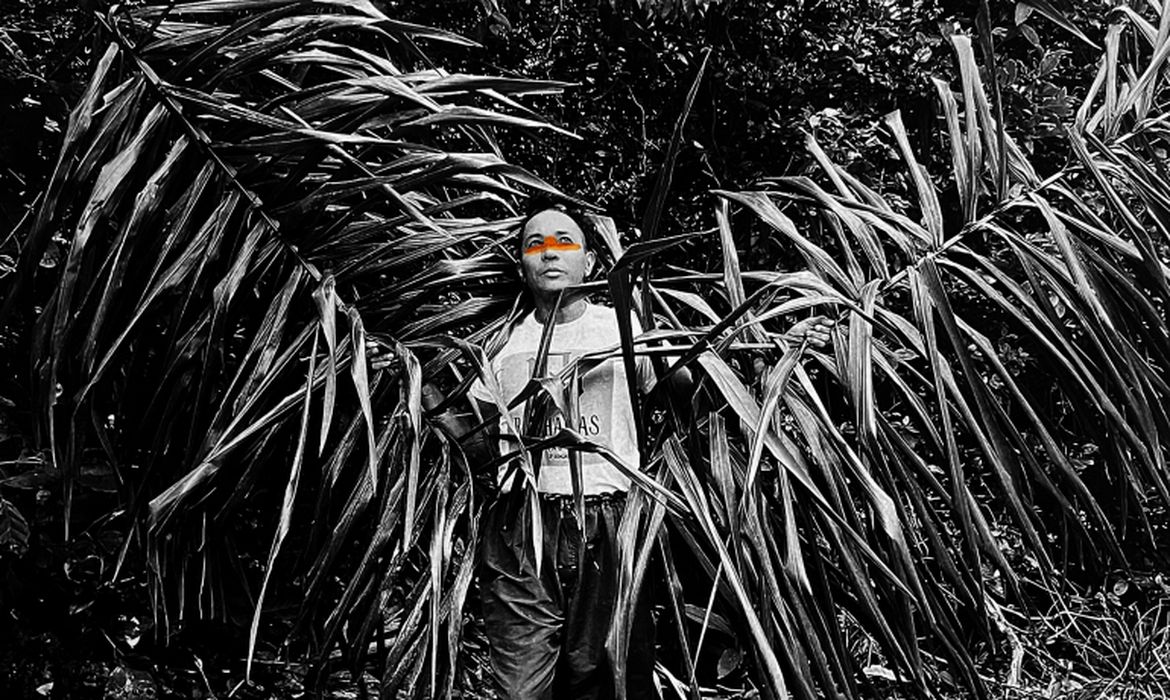 Tybyras: Caminhos de uma Amazônia Queer exposições em cartaz em são paulo