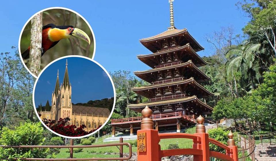 10 excursiones imprescindibles para descubrir las maravillas de la Región Metropolitana de São Paulo