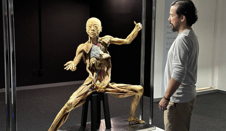 Descubra os segredos do ‘Corpo Humano’ em exposição educativa