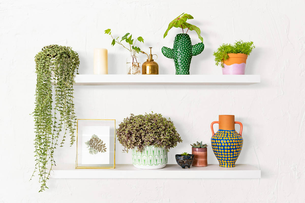 Decorating stores in São Paulo: 6 incredible addresses for those who love authorial design