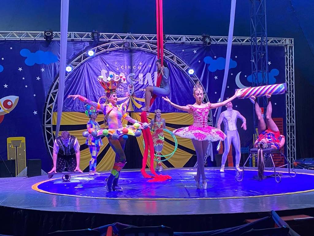 Circo em São Paulo: guia de atrações circenses na capital