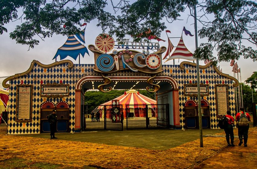 mundo do circo sp