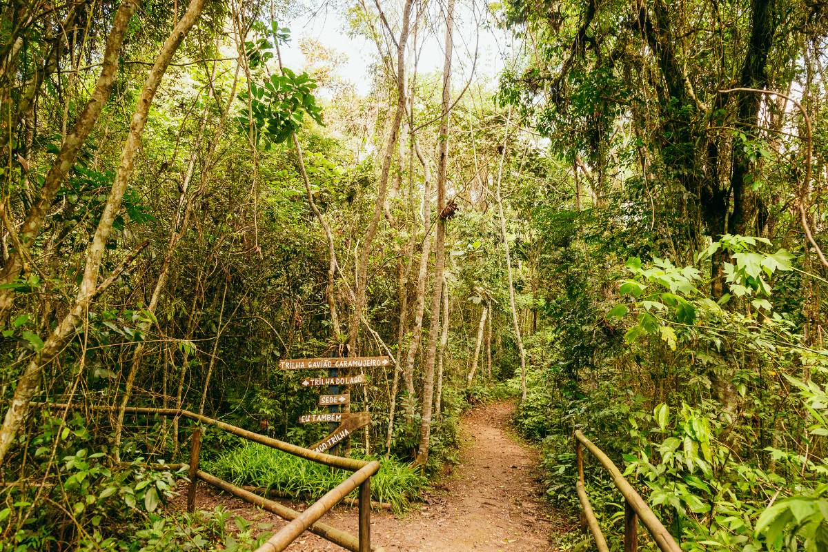 maior trilha de São Paulo interparques
