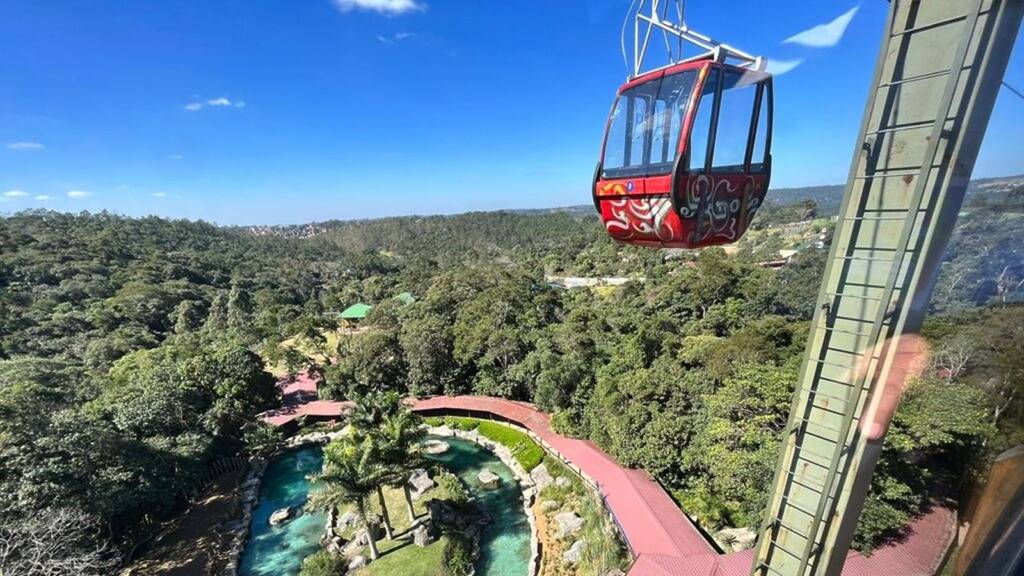 Animália Aventura park são paulo