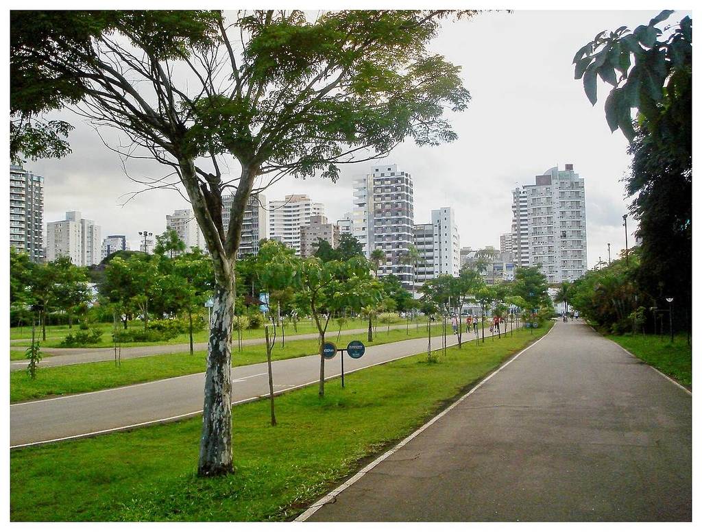 mejor lugar para vivir en são paulo moema