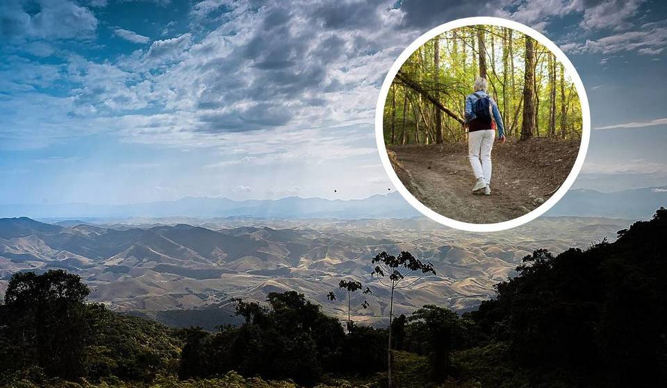 Trilha histórica entre São Paulo e Rio de Janeiro esconde resquícios do Ciclo do Ouro, com cachoeiras e tesouros da Mata Atlântica — os amantes do trekking não podem perder!