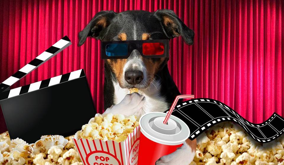 Conozca el cine de São Paulo que es «bueno para los perros», con sesiones pet-friendly y palomitas para los animales