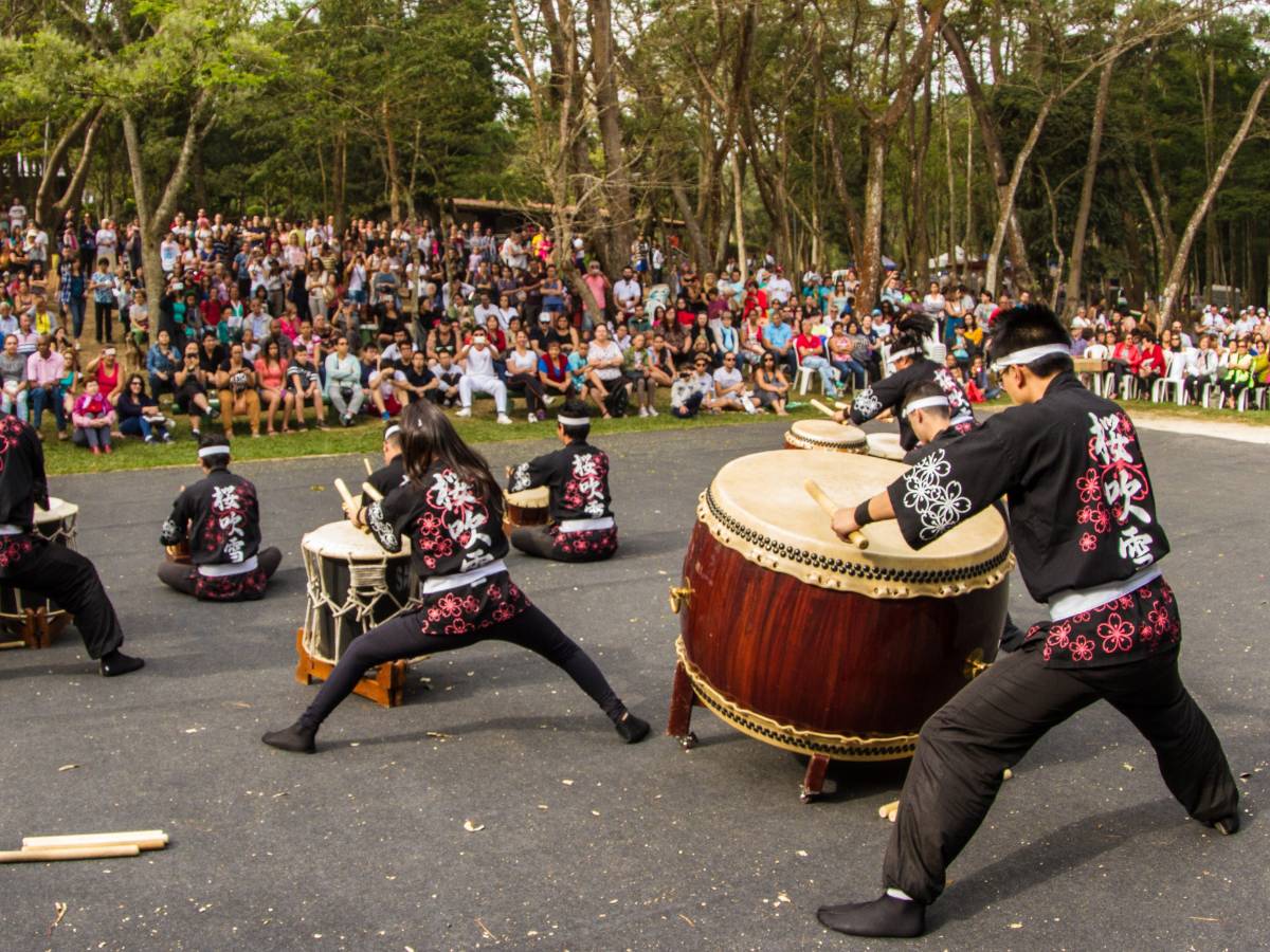 Festival das Cerejeiras do Parque do Carmo