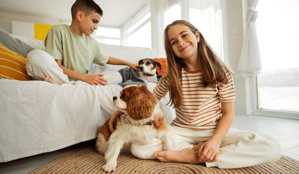 5 hotéis pet friendly em SP para você passar suas férias ao lado do seu melhor AUmigo!