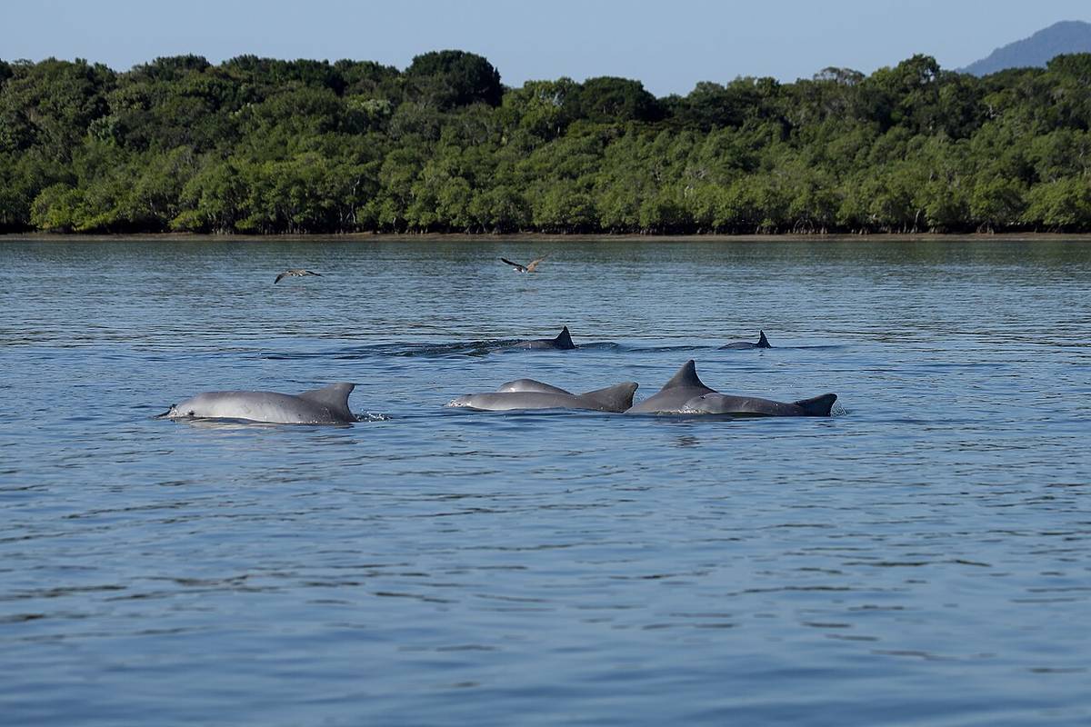 melhores destinos natureza aventura ecoturismo em são paulo