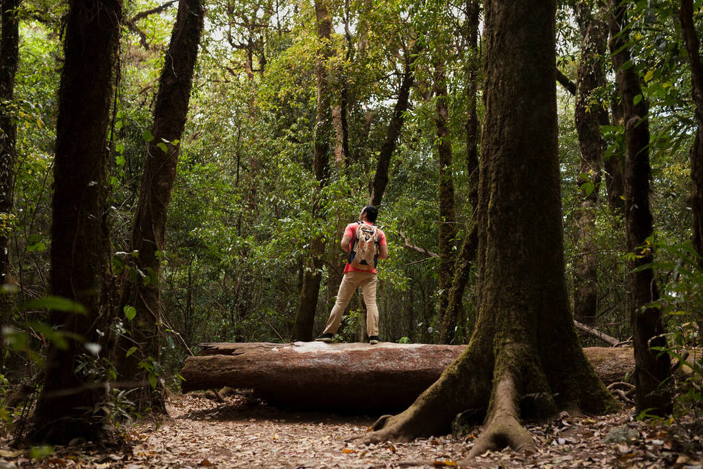 best destinations nature adventure ecotourism in são paulo