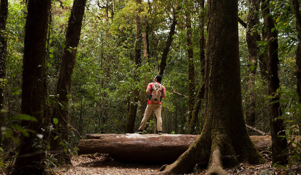 Trilhas secretas, cavernas e praias cristalinas — os tesouros naturais de São Paulo que não são o PETAR