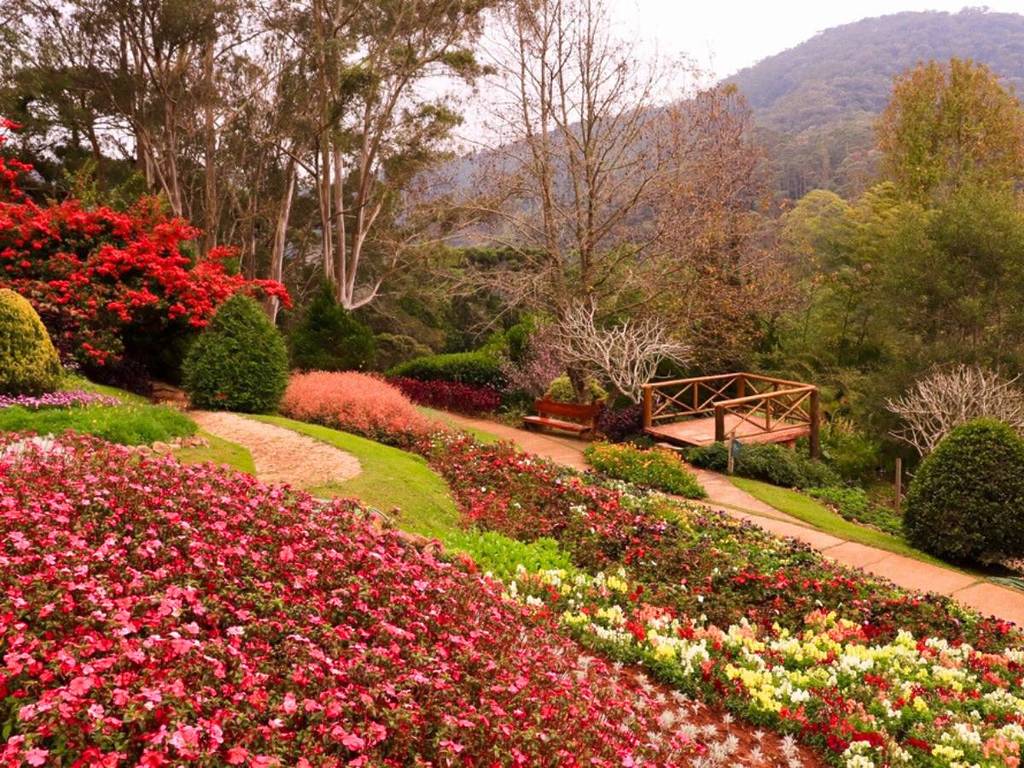 Jardim dos Pinhais Ecco Parque Restaurant