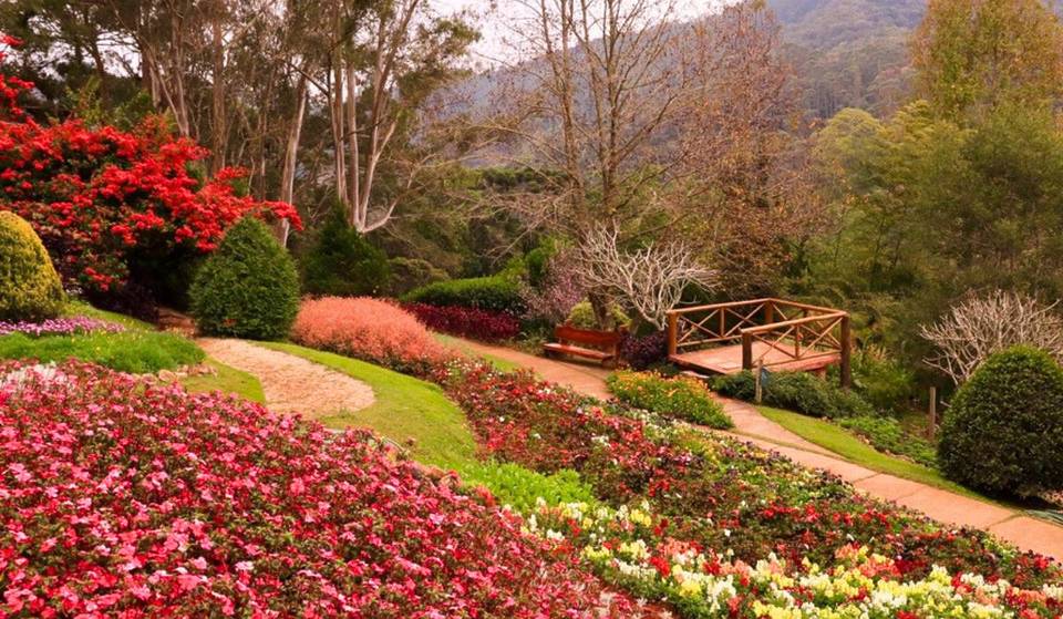 Este parque a 2h de SP está no top 3 coisas para fazer na cidade segundo o TripAdvisor, e ainda conta com passeio de quadriciclo, mirante e mais de 10 jardins!