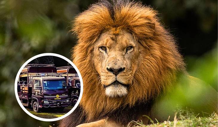 Você se lembra do Simba Safári? A experiência selvagem mais nostálgica de São Paulo está de volta