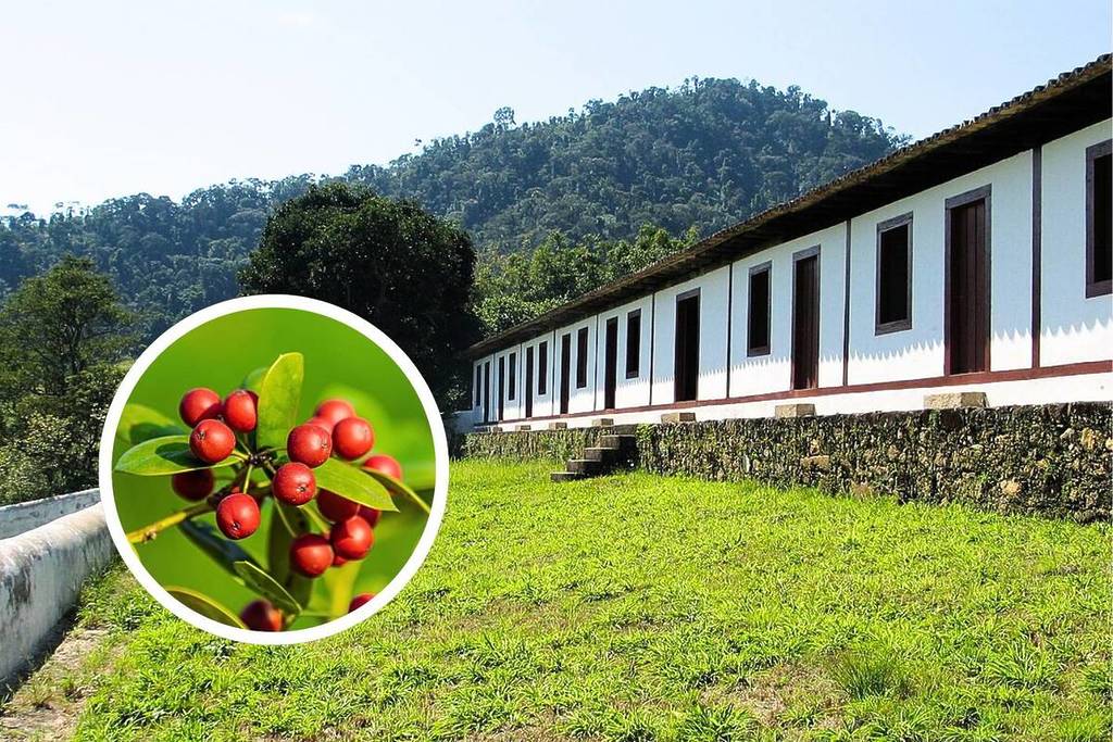 ciudades históricas del valle del paraíba ciclo del café