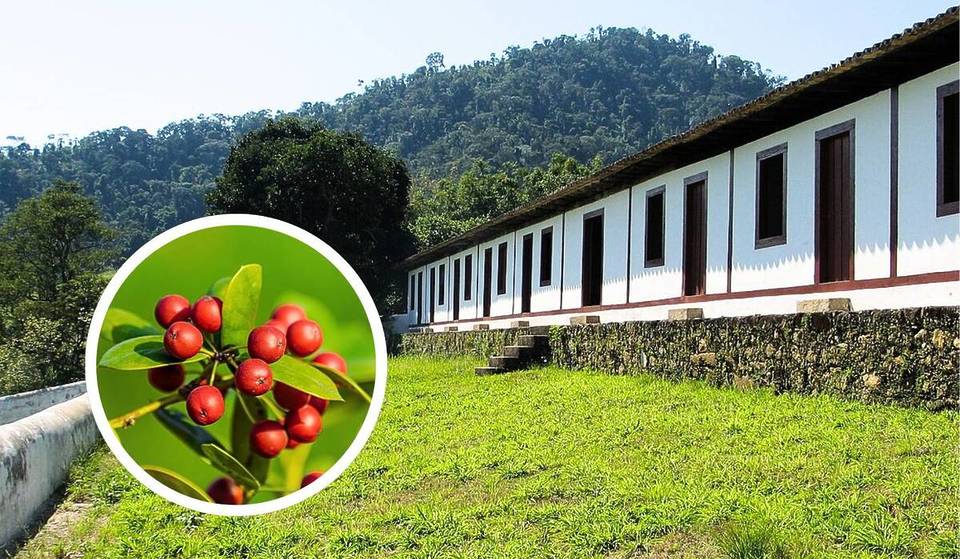 A poucas horas de SP, essas cidades do Vale do Café parecem ter parado no tempo — casarões, fazendas e histórias dos barões do café