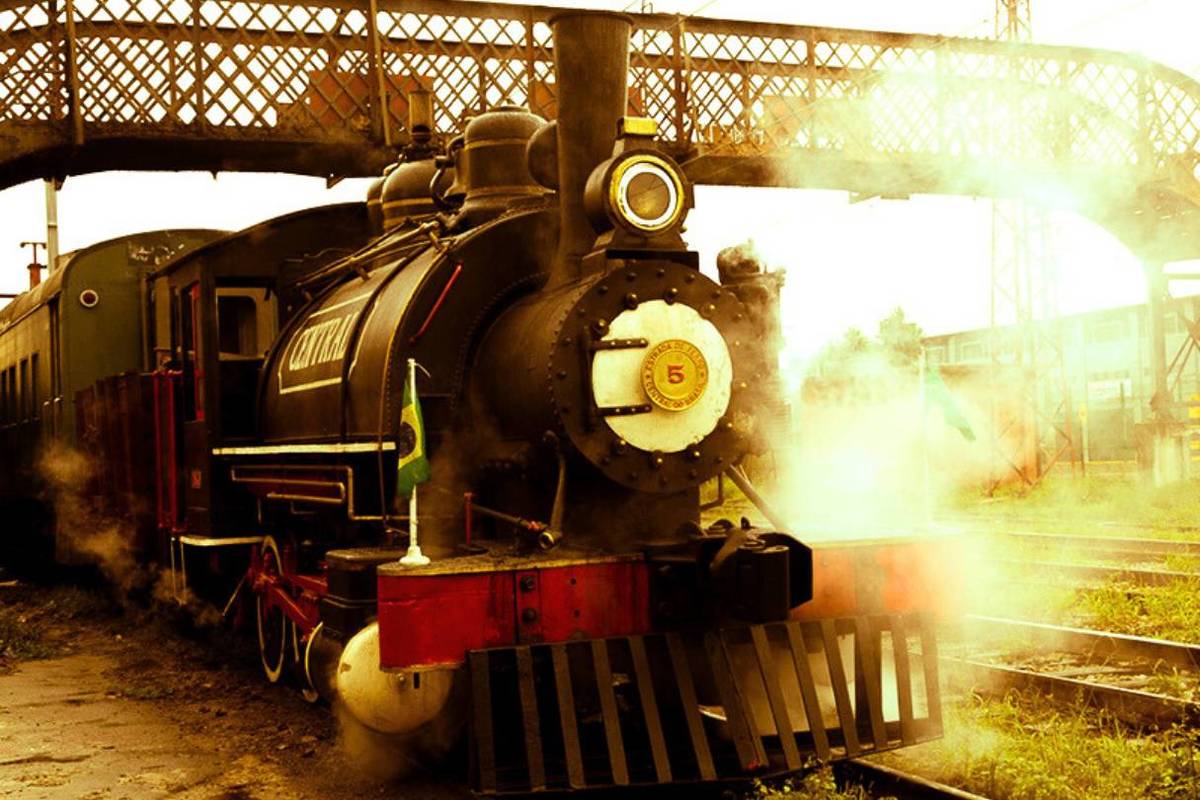 maria fumaça museu da imigração passeio de trem sp