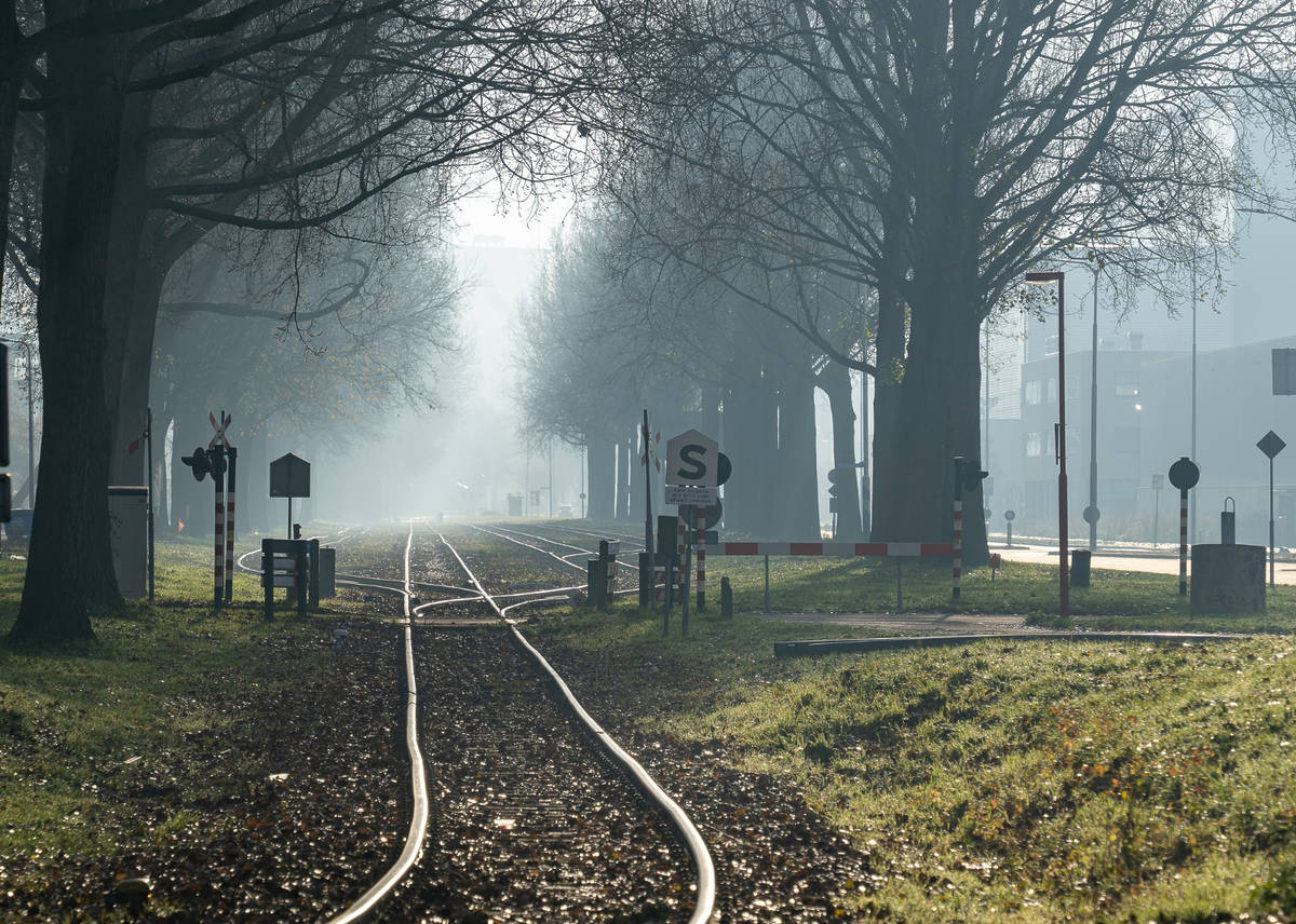 expresso turístico trem de halloween paranapiacaba são paulo