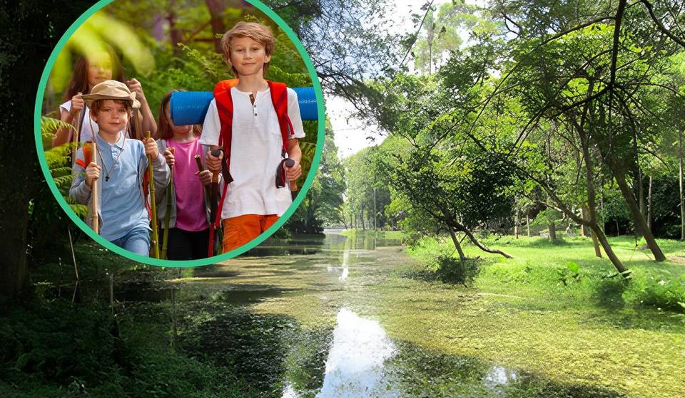 Conheça as trilhas escondidas na Zona Sul de SP que encantam crianças e adultos com experiências únicas