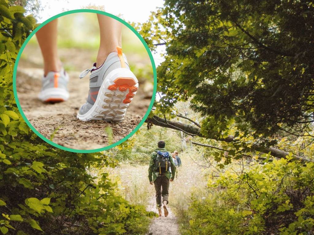 secret trails in SP