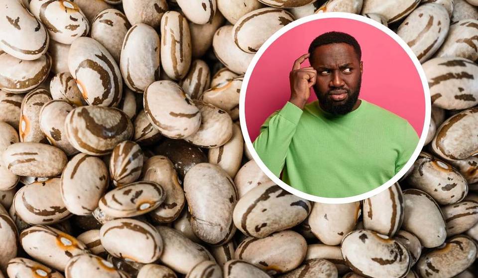 ¡Las alubias cariocas son de São Paulo! Conozca el origen paulista del poroto que es la cara del plato brasileño