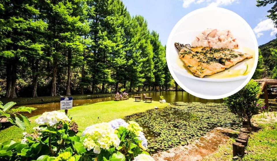Este restaurante a sólo 2 horas de São Paulo ofrece almuerzo junto al lago y la cascada sólo para clientes