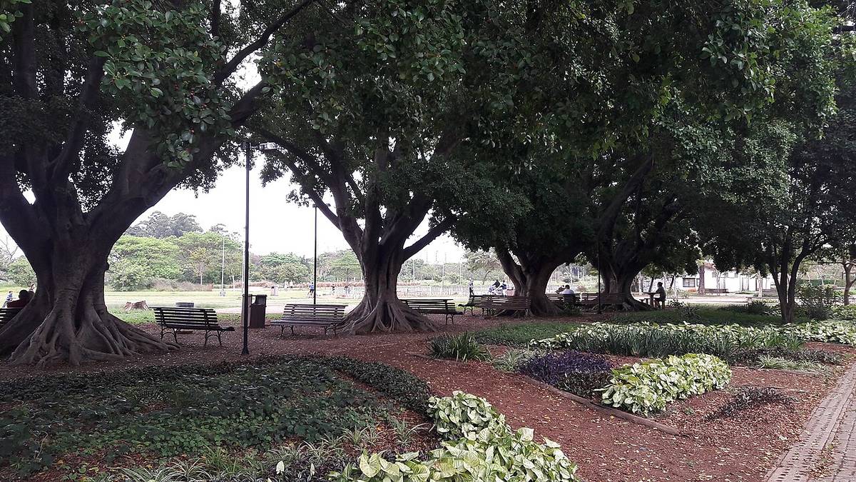 parque do trote zona norte de são paulo revelando sp