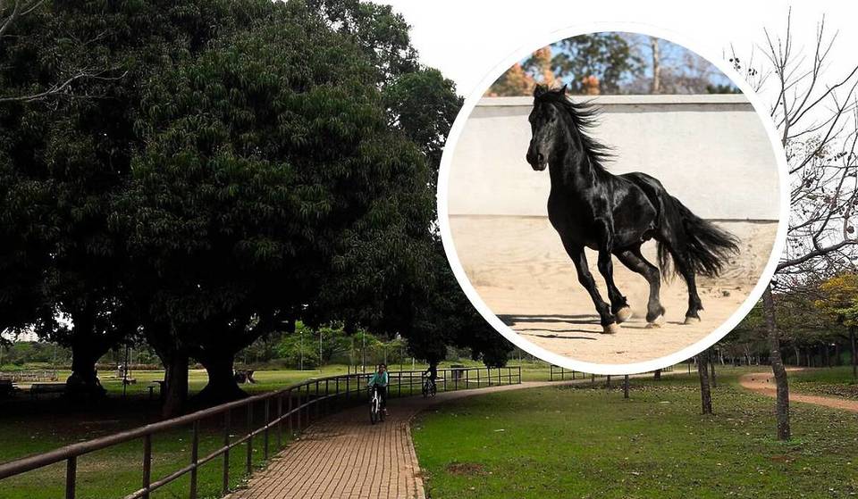 Un parque poco conocido de la Zona Norte ya acogió carreras de caballos – y ahora vuelve a ser el escenario del Revelando SP, el festival gratuito más esperado de 2025