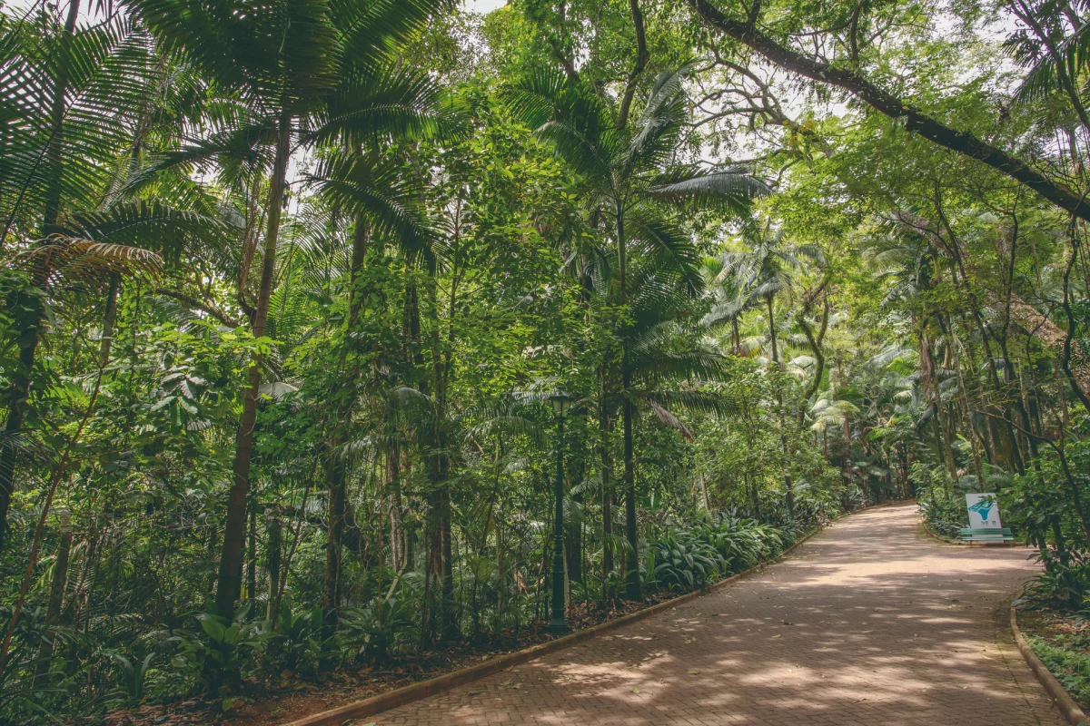 Fundação Maria Luisa e Oscar Americano morumbi são paulo