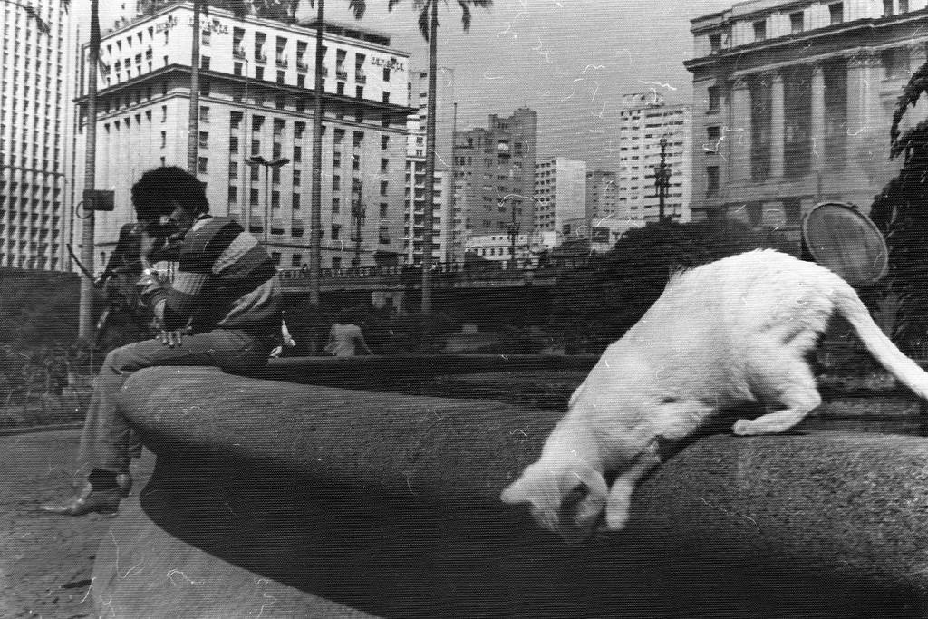 parque dos gatos anhangabaú são paulo