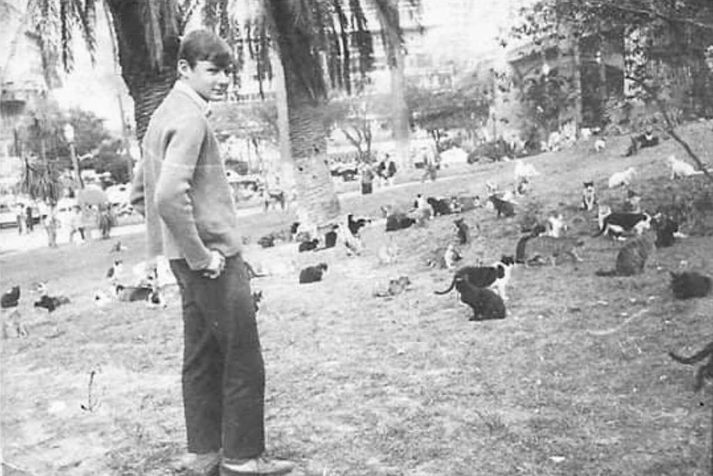 parque dos gatos anhangabaú são paulo