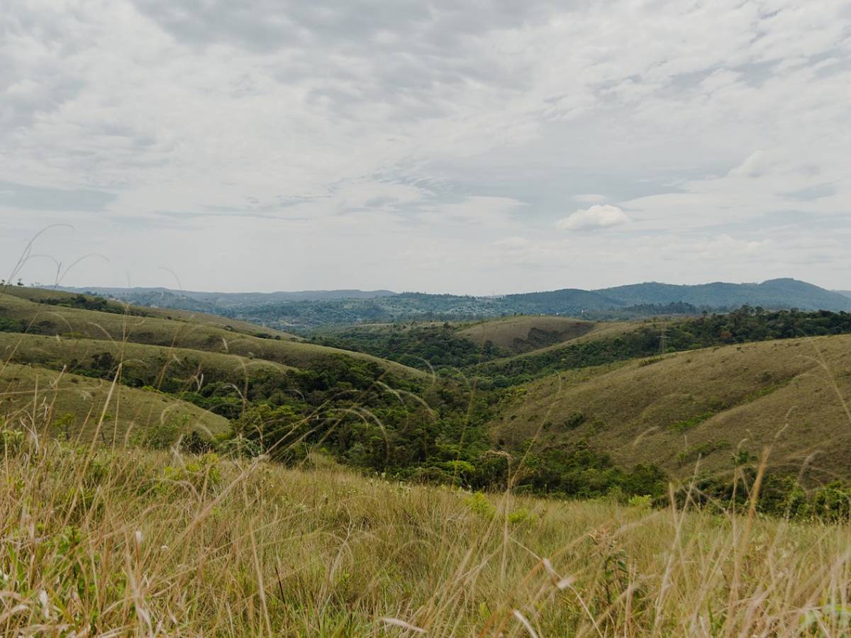 Trilha do Ovo do Pato - Parque Estadual do Juquery