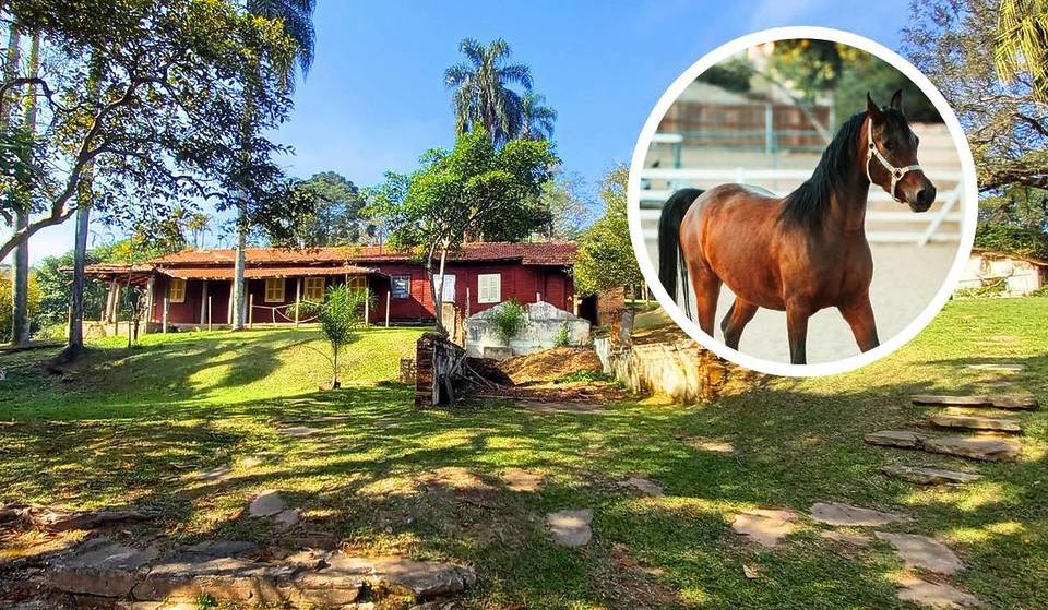 Less than an hour from São Paulo, a hidden park in the ABC region is home to a century-old mansion and nature trails